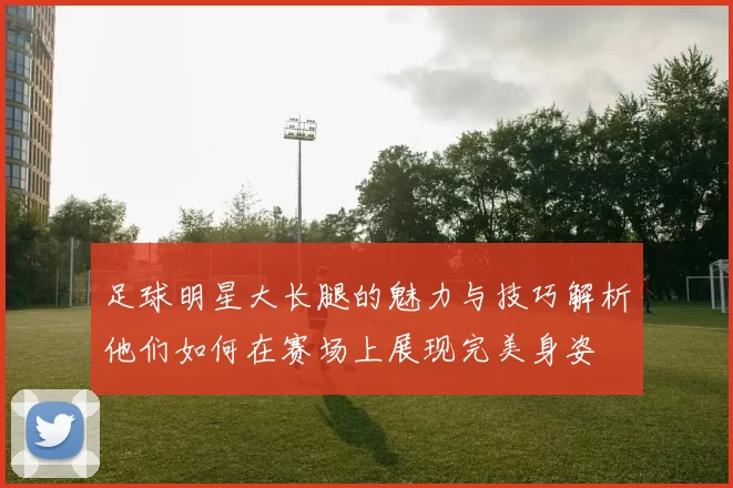 足球明星大长腿的魅力与技巧解析他们如何在赛场上展现完美身姿