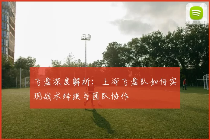 飞盘深度解析：上海飞盘队如何实现战术转换与团队协作