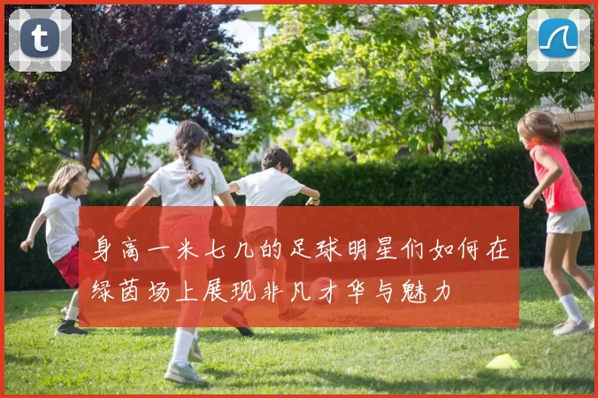 身高一米七几的足球明星们如何在绿茵场上展现非凡才华与魅力
