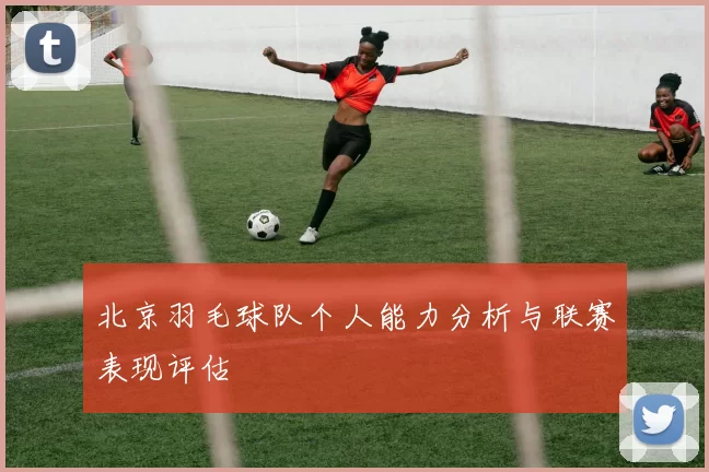 北京羽毛球队个人能力分析与联赛表现评估