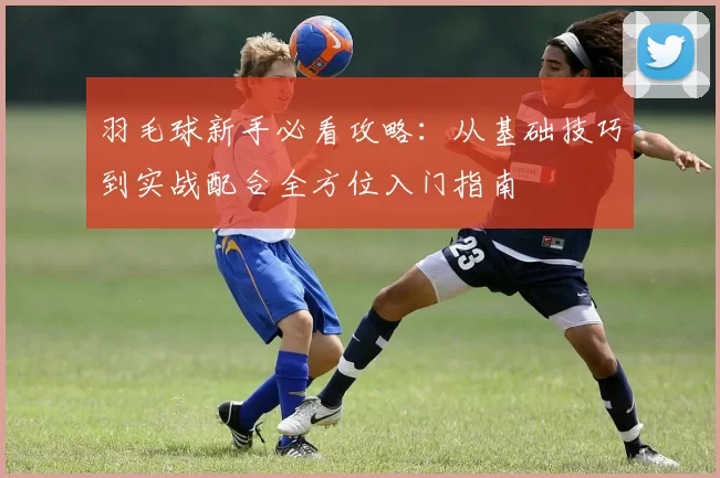 羽毛球新手必看攻略：从基础技巧到实战配合全方位入门指南