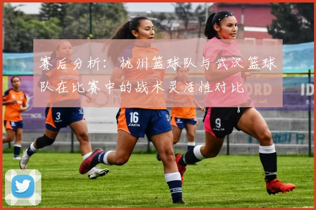 赛后分析：杭州篮球队与武汉篮球队在比赛中的战术灵活性对比