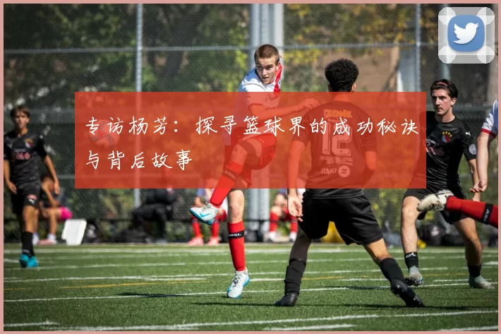 专访杨芳：探寻篮球界的成功秘诀与背后故事