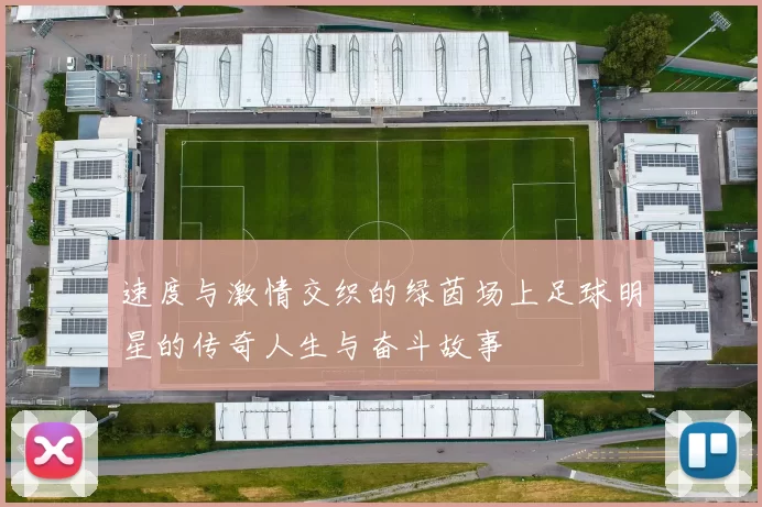 速度与激情交织的绿茵场上足球明星的传奇人生与奋斗故事