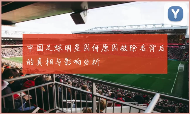 中国足球明星因何原因被除名背后的真相与影响分析