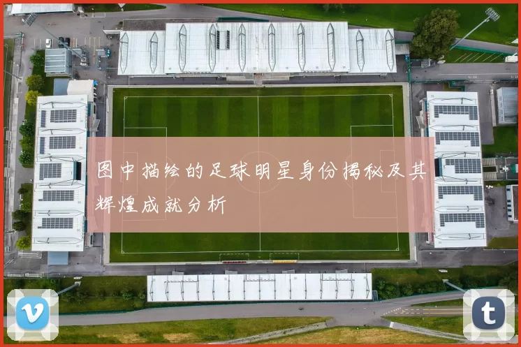 图中描绘的足球明星身份揭秘及其辉煌成就分析