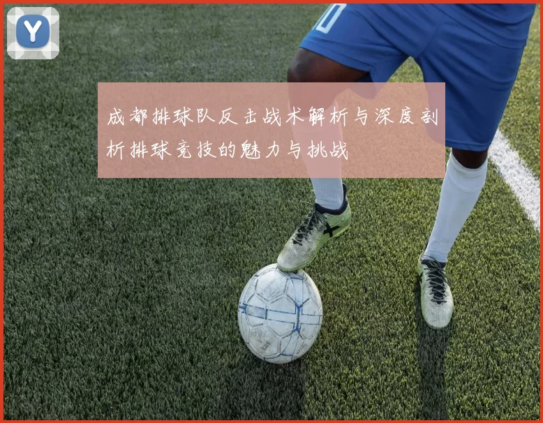 成都排球队反击战术解析与深度剖析排球竞技的魅力与挑战