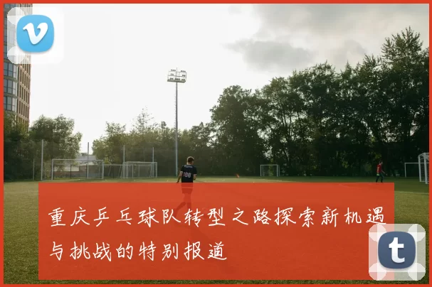 重庆乒乓球队转型之路探索新机遇与挑战的特别报道