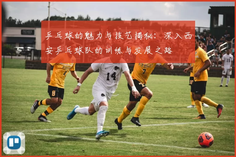 乒乓球的魅力与技艺揭秘：深入西安乒乓球队的训练与发展之路