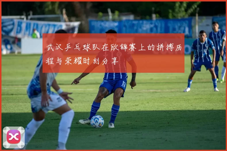 武汉乒乓球队在欧锦赛上的拼搏历程与荣耀时刻分享