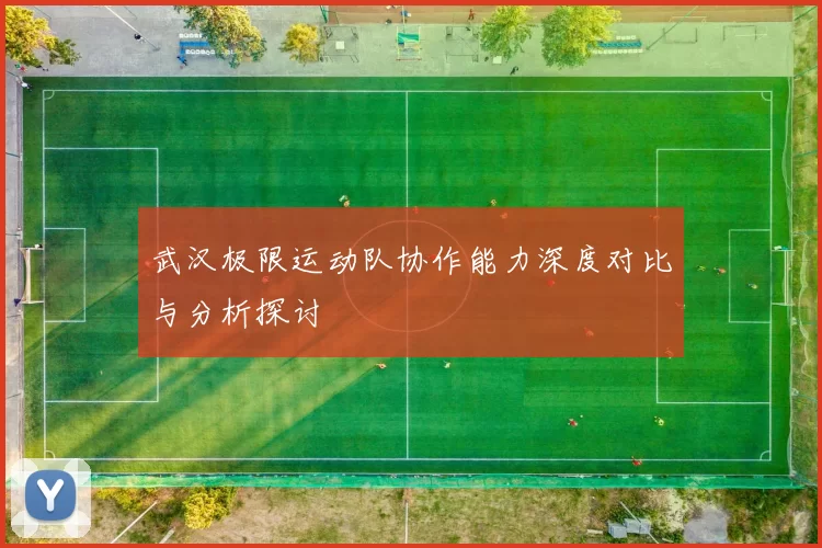 武汉极限运动队协作能力深度对比与分析探讨