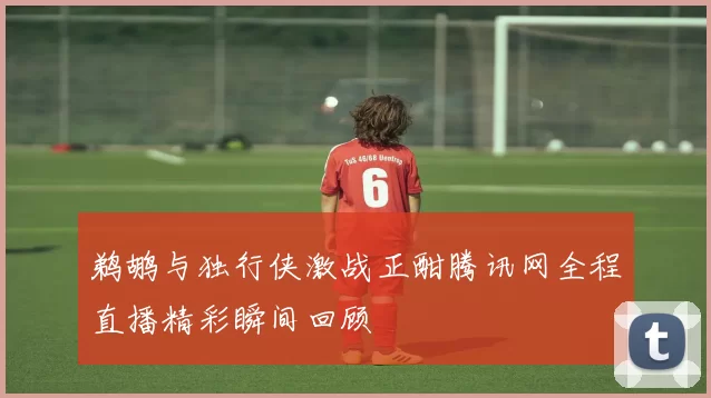 鹈鹕与独行侠激战正酣腾讯网全程直播精彩瞬间回顾