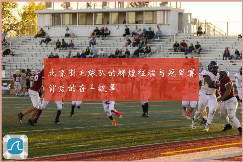 北京羽毛球队的辉煌征程与冠军赛背后的奋斗故事