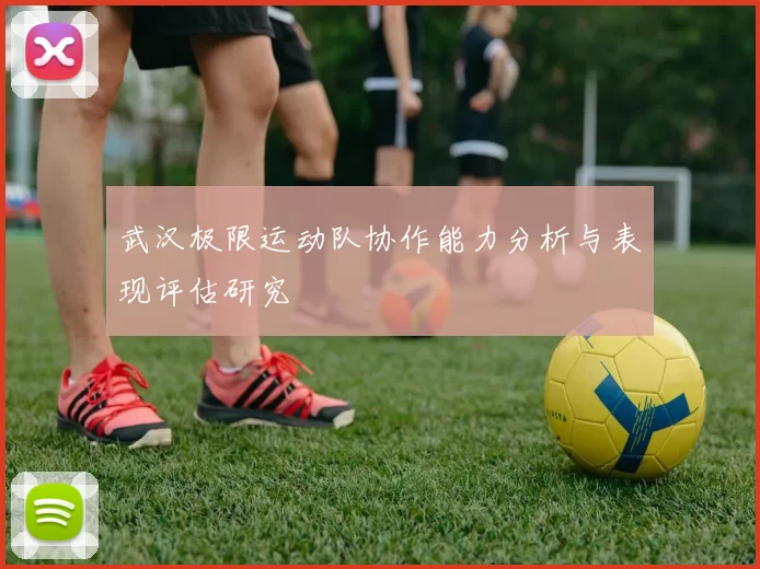 武汉极限运动队协作能力分析与表现评估研究