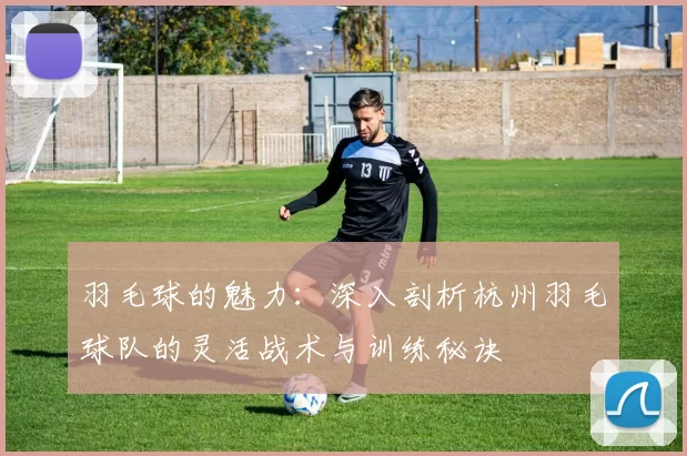 羽毛球的魅力：深入剖析杭州羽毛球队的灵活战术与训练秘诀