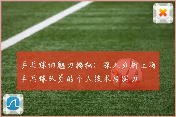 乒乓球的魅力揭秘：深入分析上海乒乓球队员的个人技术与实力